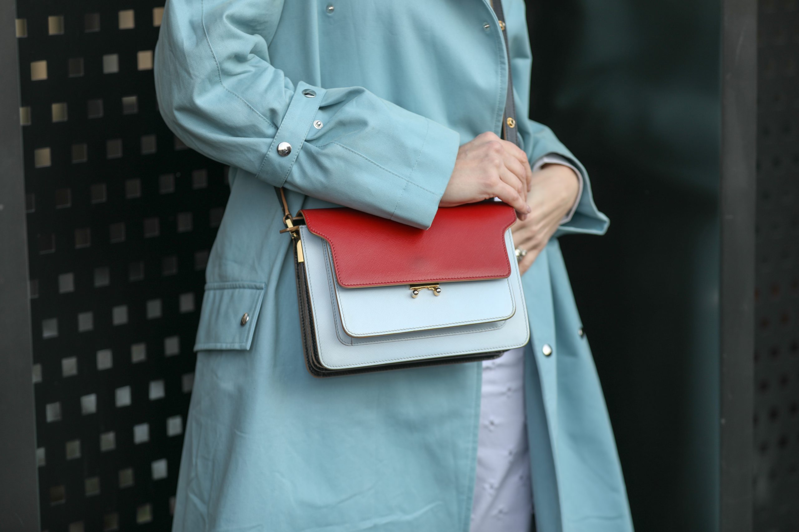 model hold luxury designer handbag